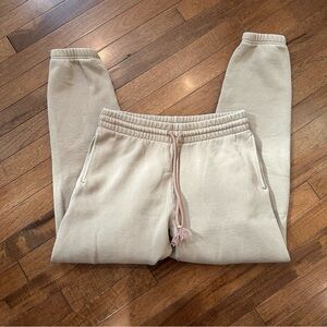 Aritzia TNA sweat pants